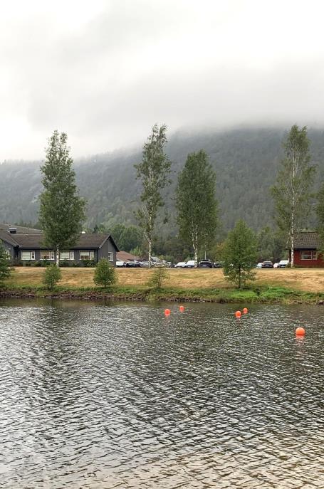 Lenkje til artikkel: Utlyser konkurranse: Etablering av badstue ved badeparken Åmli sentrum