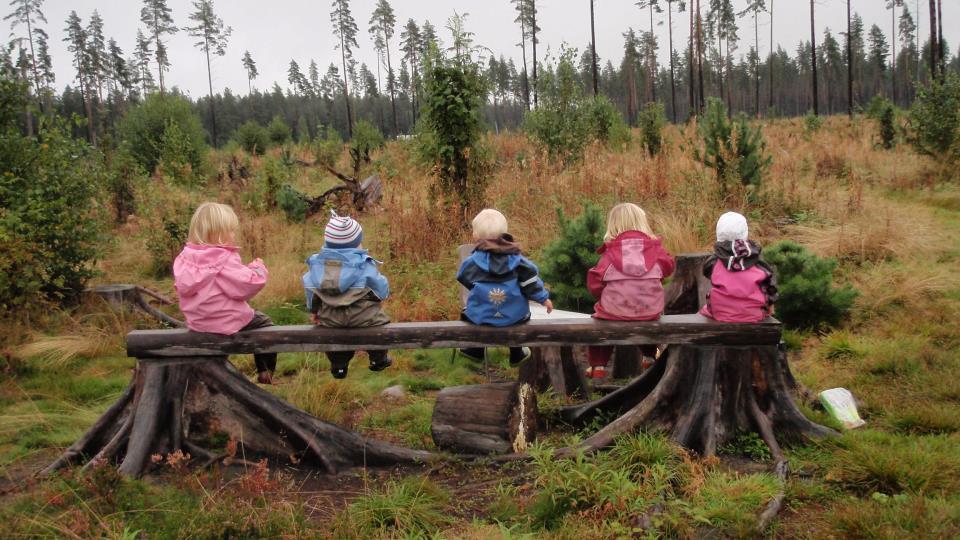 Lenkje til artikkel: Høringsforslag til ny forskrift om tilskudd til private barnehager i Åmli kommune